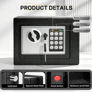 fIre proof Safes with Fireproof Money Bag